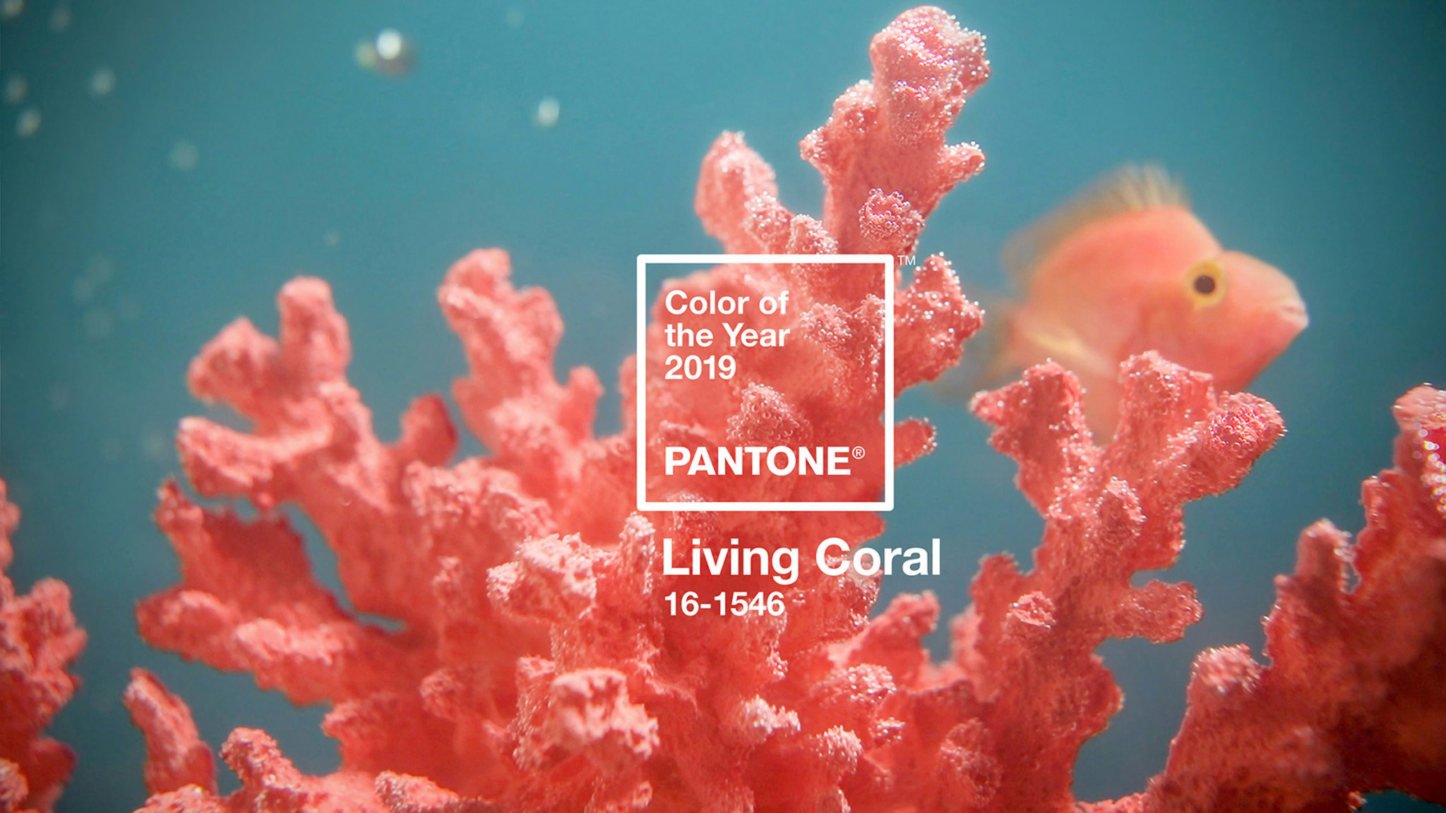 The official 2019 colour is not just about a charming and warm pink. Pantone official describes the colour as warm and welcoming, but versatile and life-affirming. As per every year, the election of the Pantone colour affects in a direct way to art & design, flooding from street fashion and haute couture, to interior design and decoration. This year´s Pantone its surprisingly the colour of the underwater reefs hanging on for dear life and the sky at dusk. A bright and powerful colour that has a great importance in the natural world. Where the natural resources as the coral are in serious danger of disappearing. But this neon bright saturated tone is also a great reflection of the current society, full of social media leaks and with a high digital impact. An artificial universe where the tone has a big presence too. Living Coral is a beautiful and vibrant colour that shows such opposing ideas and realities. Choosing it as 2019 colour of the year, Pantone continues with the overwhelming trend of distinguishing a high saturated tone with multiple meanings. The commencing 2019 will be a colour explosion coming right after the 2018 Ultraviolet and 2016 Greenery tones.