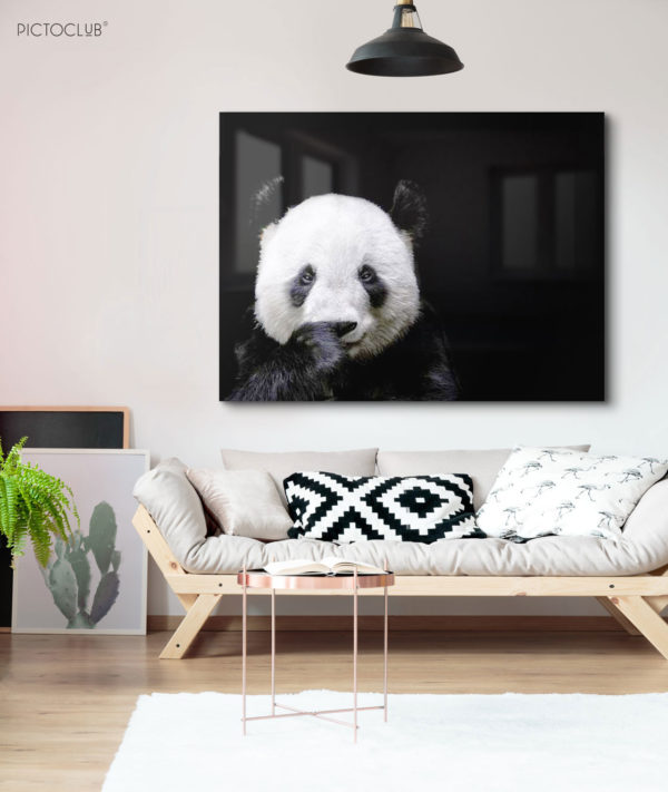 PANDA - Image 4