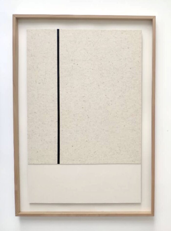 Linea Lateral Archives