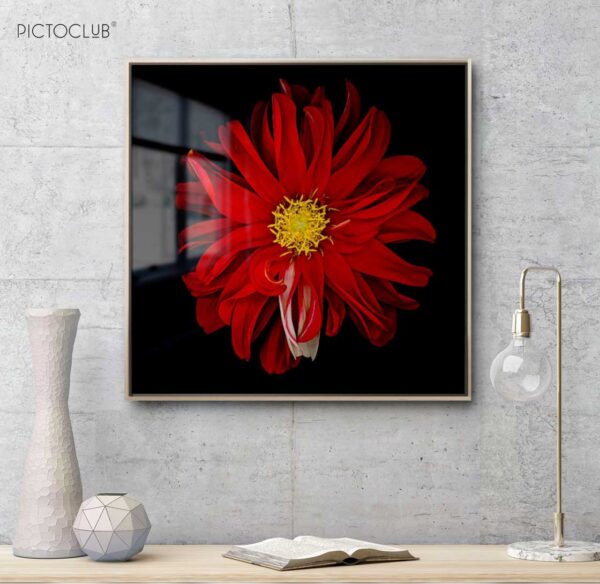 PICTOCLUB Painting - RED FLOWER 3 - Pictoclub Originals