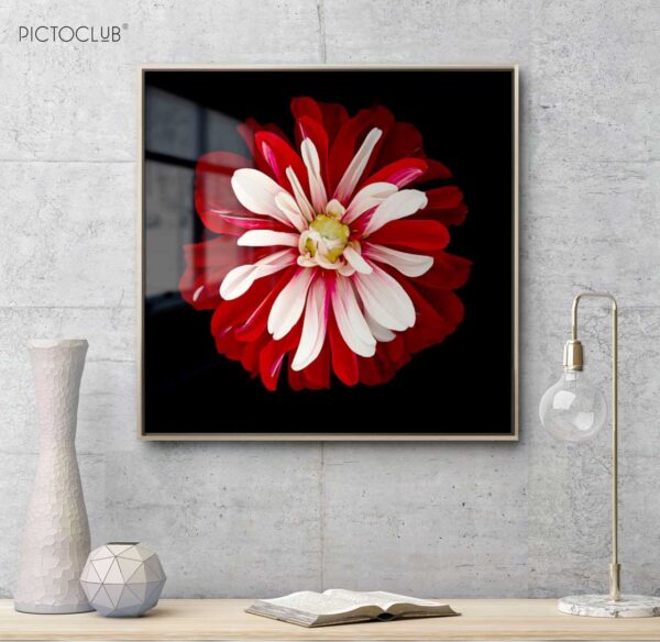 PICTOCLUB Painting - RED FLOWER - Pictoclub Originals