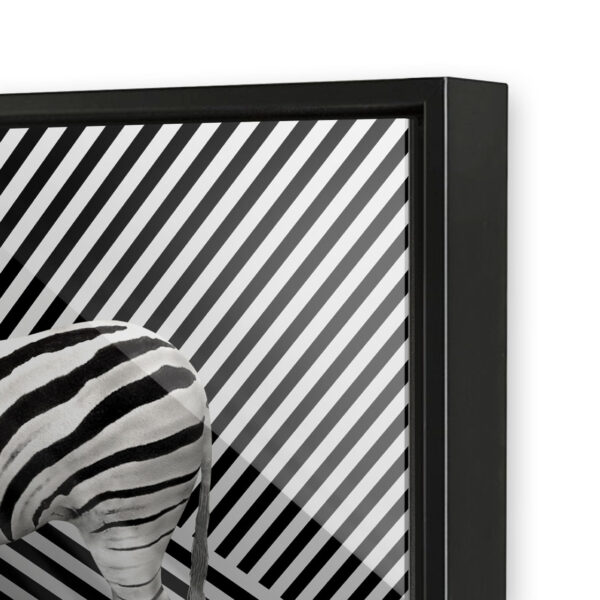 PICTOCLUB Photographs - ZEBRA ILUSIONS - Pictoclub Originals