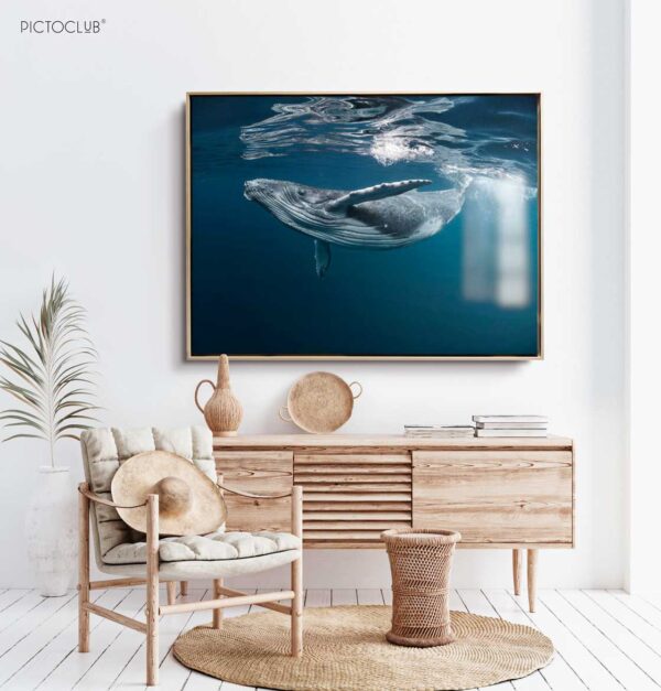 PICTOCLUB Photographs - OCEAN WHALE - Pictoclub Originals