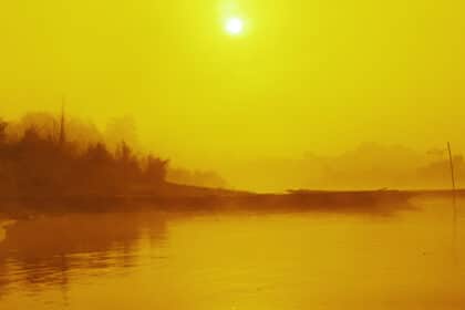 Yellow morning in Nepal