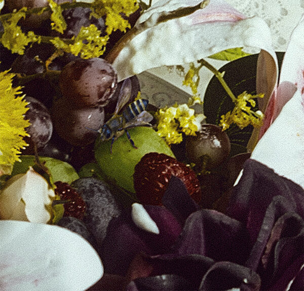 The dinner - Image 3