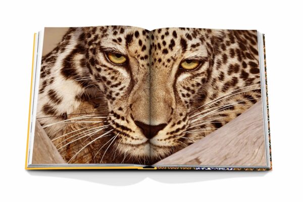 PICTOCLUB Books - ARABIAN LEOPARD - Assouline