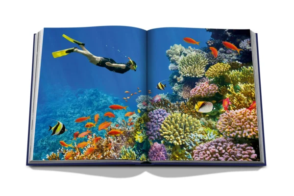 PICTOCLUB Books - OCEAN WANDERLUST - Assouline