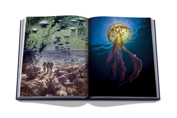 PICTOCLUB Books - OCEAN WANDERLUST - Assouline