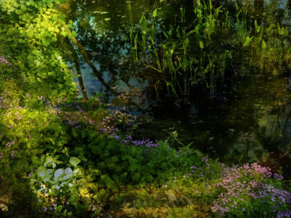 Monet Garden