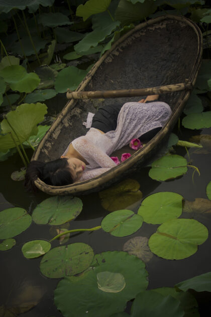 The lotus lake V